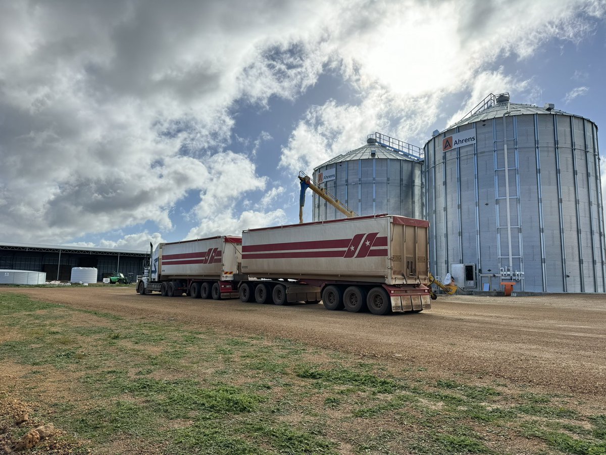 Out-loading coming to a close for Year 1
#oats #porridge