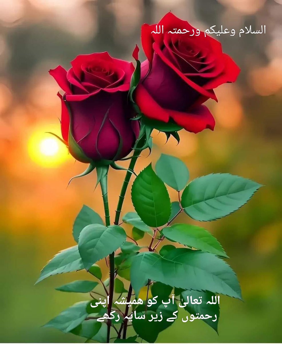 السلام علیکم ورحمتہ اللہ وبرکاتہ 
*اچھے انسان کی خوبیوں میں سے ایک خوبی  یہ بھی ہے کہ وہ ان لوگوں کی بھی عزت اور خیر خواہی چاہتا ہے جن سے اسے کسی قسم کے فائدے یا مفاد کی توقع نہیں ہوتی*
 *اللہ پاک*  ہمیں بھی یہ خوبیاں عطا فرمائے
*آمین یا رب العالمین*
  صبح بخیر زندگی
#قومی_زبان