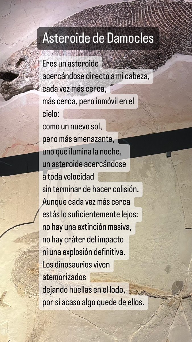 davidguajardo's tweet photo. https://t.co/Rpimf5mhMt