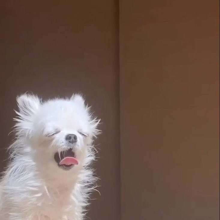 mood : อดทนไว้พรุ่งนี้วันศุกร์แล้ว