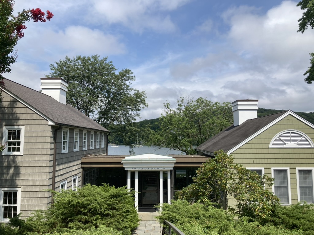 YeastCourseCSHL's tweet image. #YGG2024 begins! Here we are at the beautiful historic Delbrück Laboratory at Cold Spring Harbor, where we will spend the next few weeks learning all things yeast.