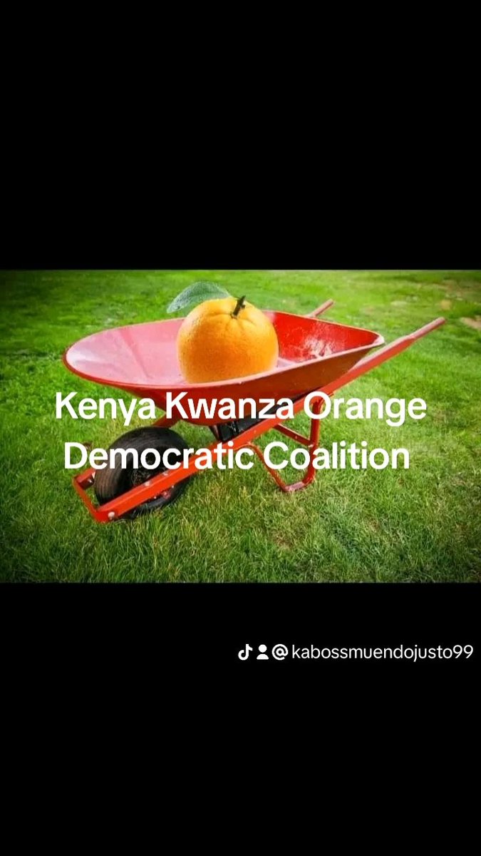 Hon Kalonzo Musyoka jipange,Sasa Raila Odinga ako ndani ya serikali.