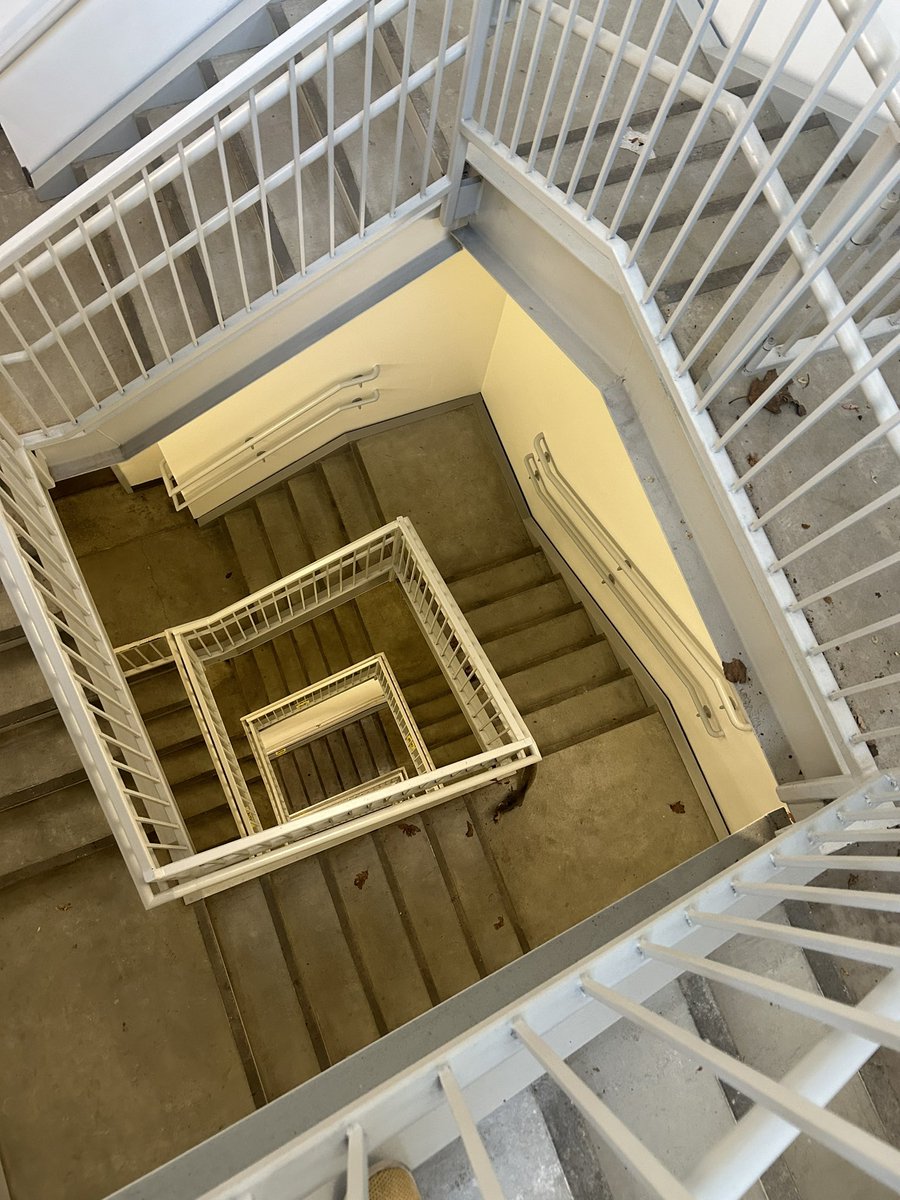 ryan mei tweet media