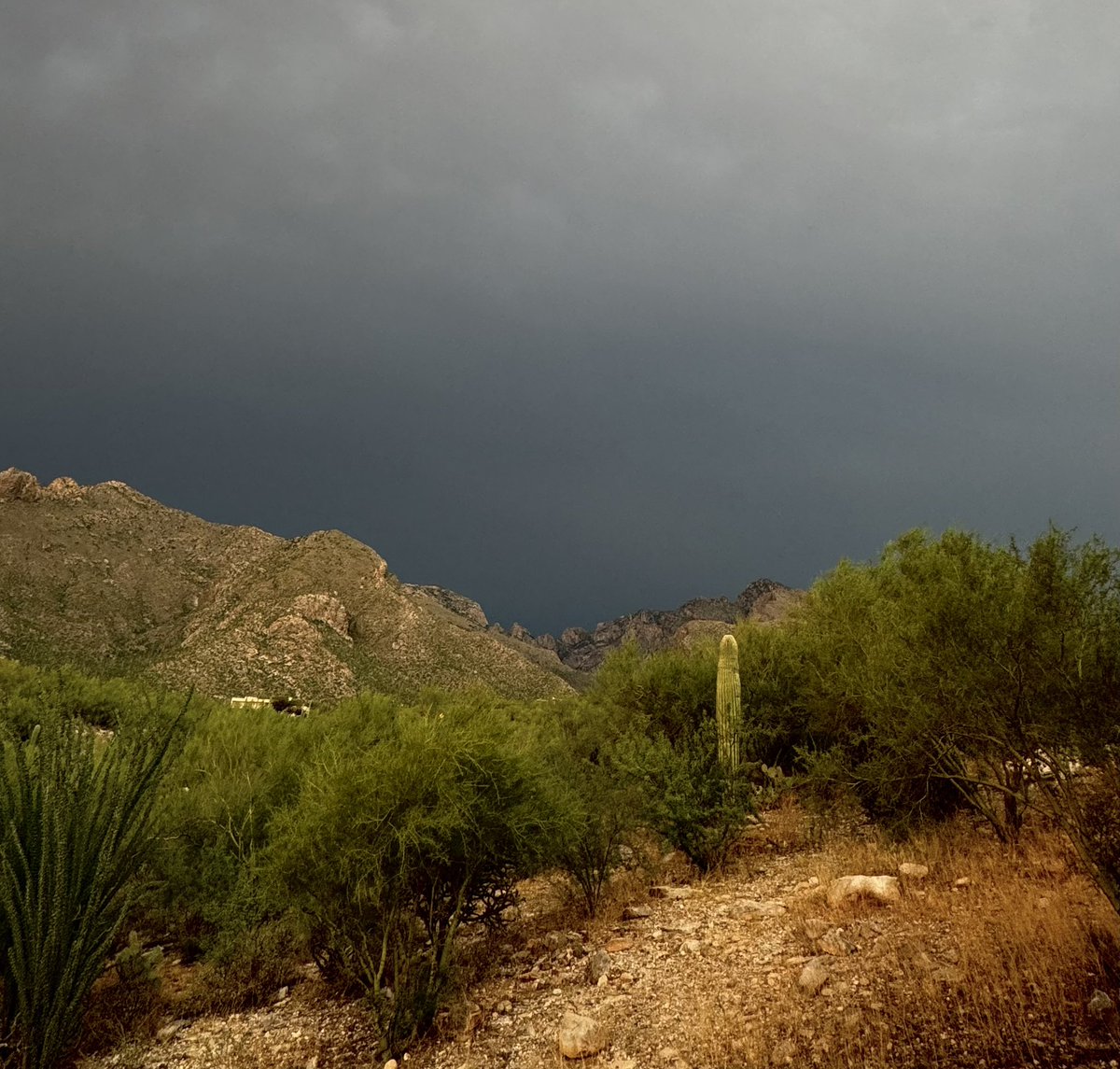 BlueLeath's tweet photo. The monsoon is moving in. #tucsonmonsoon https://t.co/FwPpEy8n3U