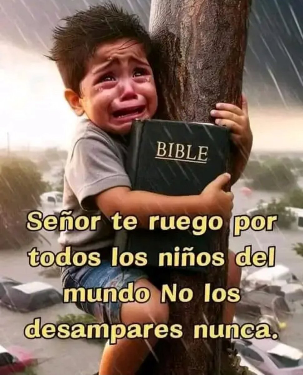 CarminRondon's tweet photo. 🕊️ORACIÓN POR TODOS LOS NIÑOS..SEÑOR,en esta hora vengo a pedirte por todos los niños q están enfermos,sufren d algún dolor,que seas tú SEÑOR, aliviando su dolor q agobian su cuerpecito,trae esperanzas a sus padres y no los abandones En El NOMBRE DE JESÚS.🙏 https://t.co/N6OnERbc5R