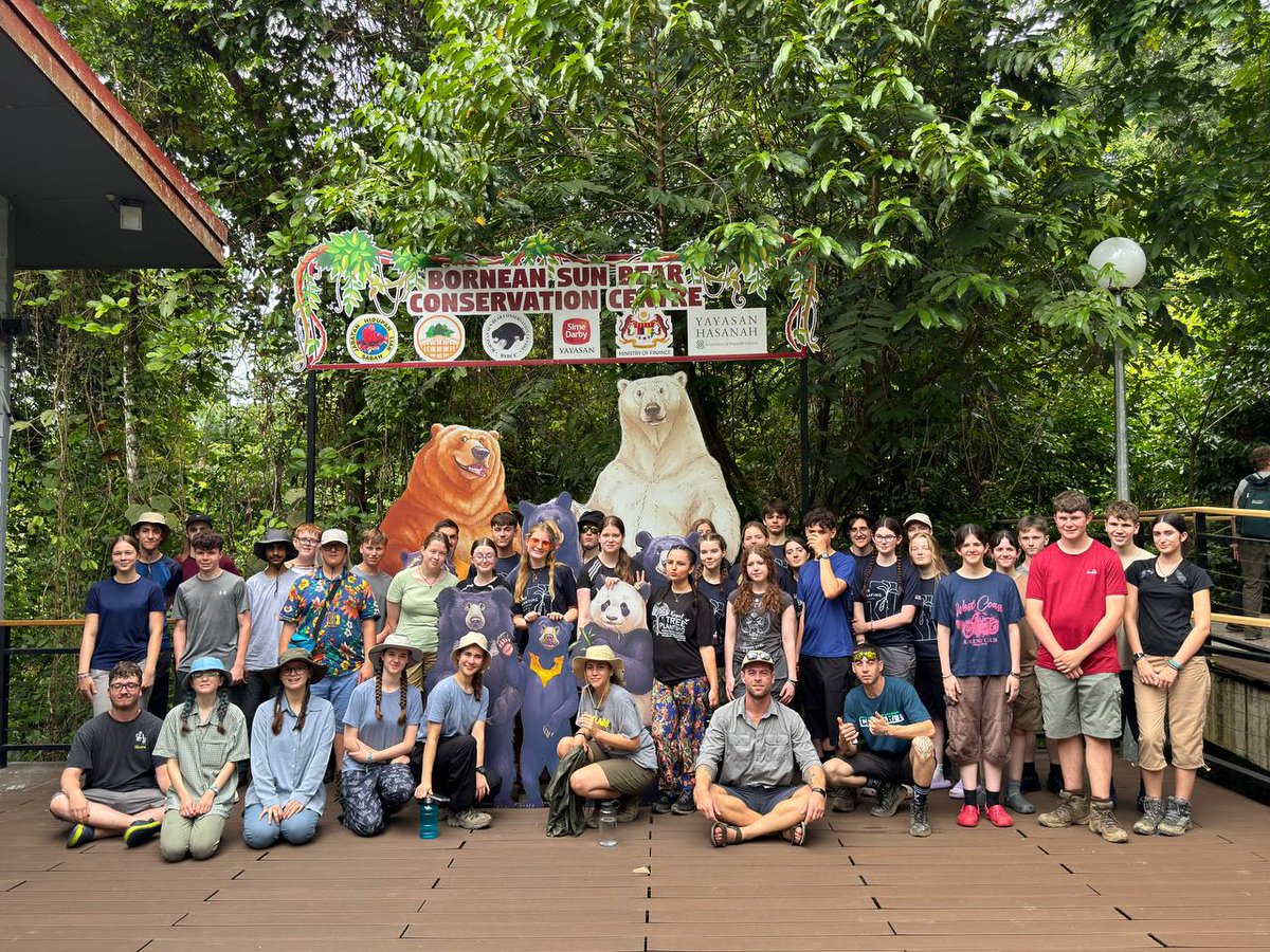 CampBorneo's tweet image. #TeamLunbawang and #TeamMaragang at the Bornean Sun Bear Conservation Center. #dosomethingamazing #campseffect @CampsInt