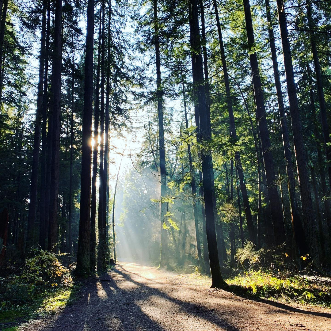 Tourism Coquitlam tweet media