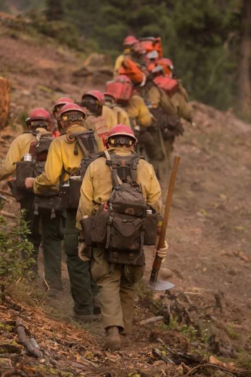 nebulacosmos_'s tweet photo. heroes ❤️ #JasperWildfire https://t.co/LmM5np3nfO