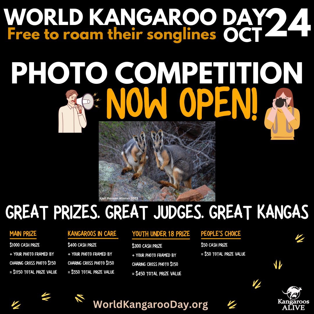 kangaroosalive's tweet photo. The 2024 #WorldKangarooDay Photography competition is now open.
https://t.co/wnj4zYQUcF
Australian wildlife photographer, Steve Parish is our main judge.
Hop to it. Entries close on 15 October.
#kangaroos #kangaroosalive @photography #wildlifephotography #australia https://t.co/Pspo0NHXbl