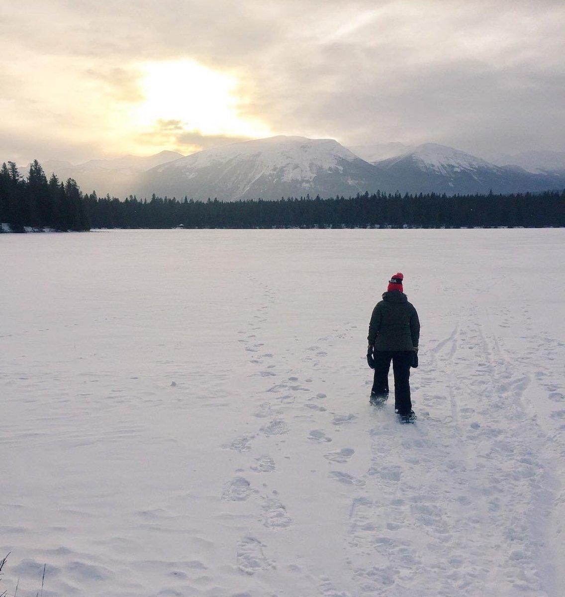 Allie Stanton 🤳🏻📱👩🏻💻 🇺🇦 tweet media