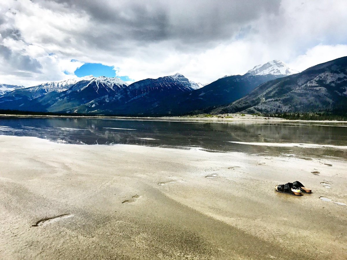 Allie Stanton 🤳🏻📱👩🏻💻 🇺🇦 tweet media