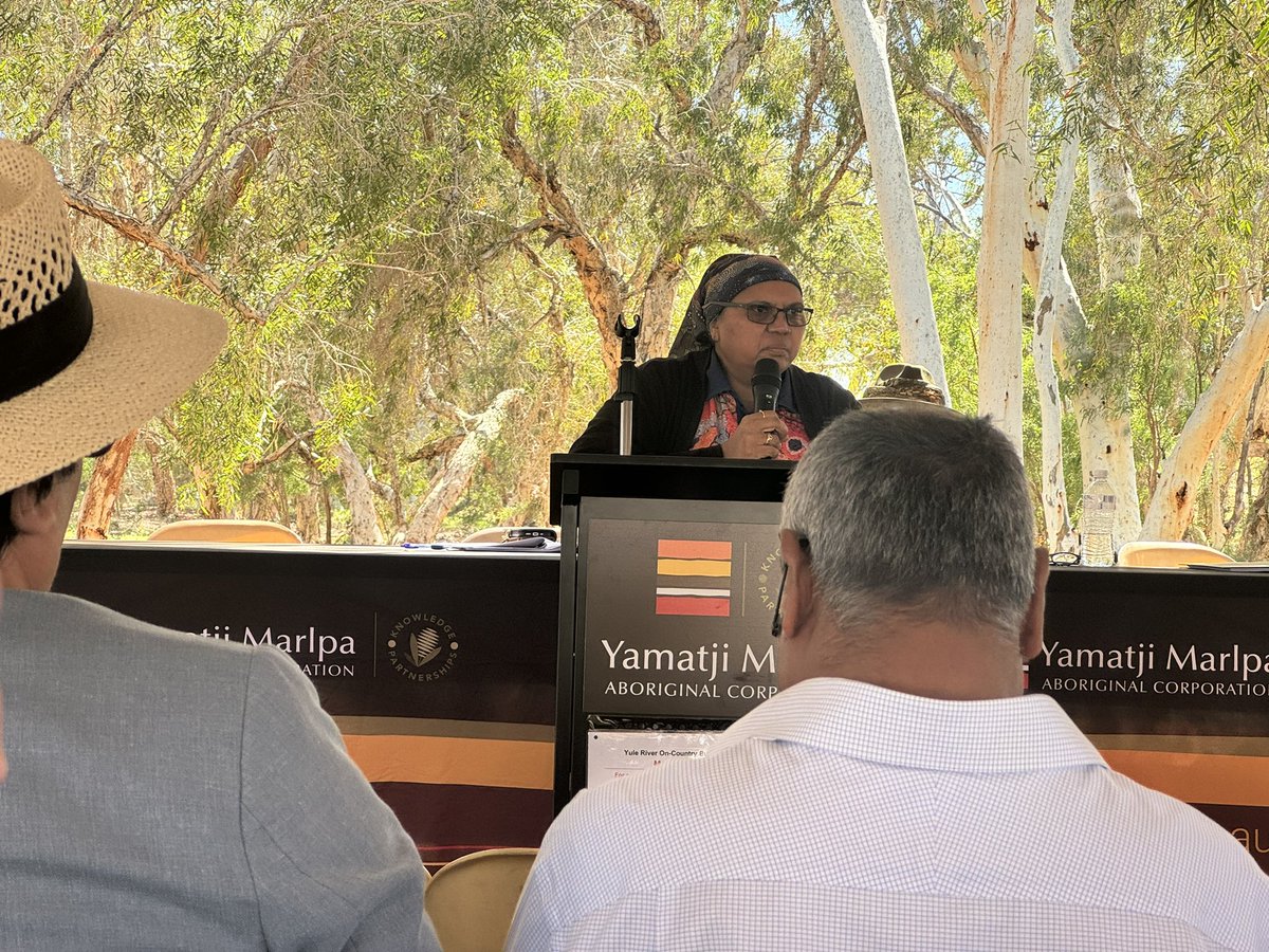 Ngaarda Media tweet media