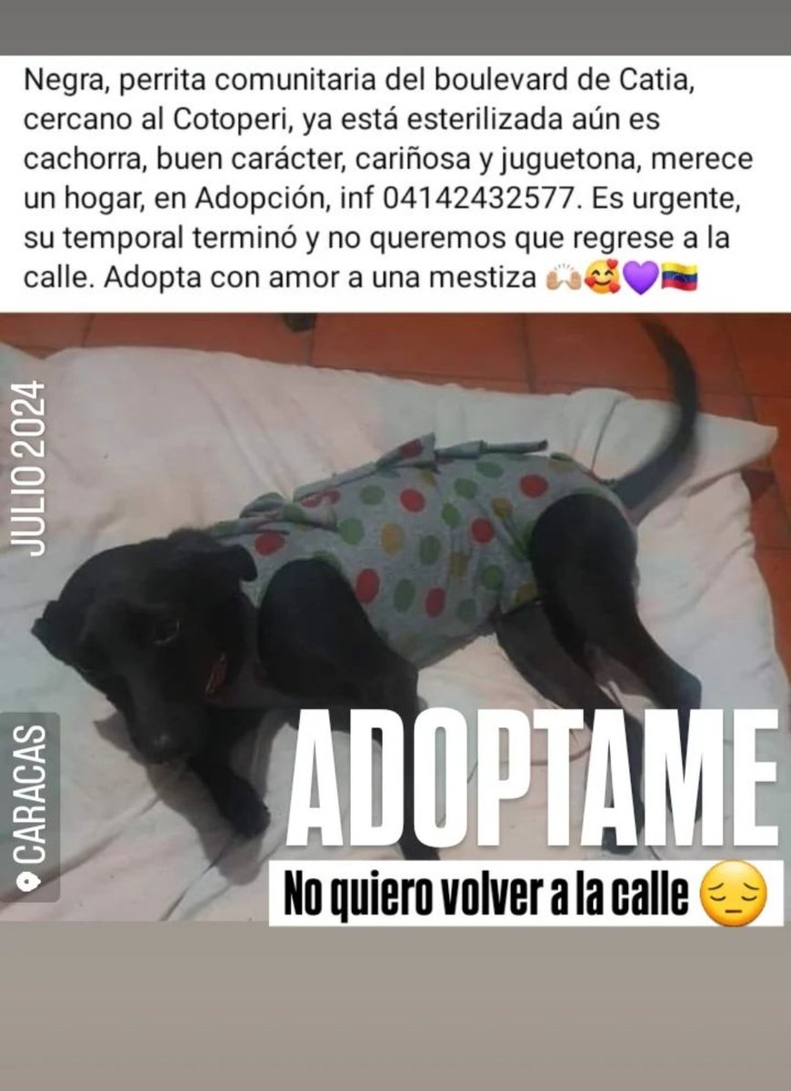 Busca una familia responsable, Caracas