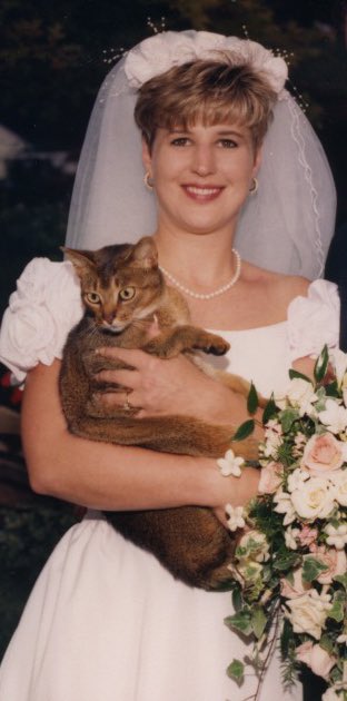katt_DC's tweet photo. @nikkibarnes 32 years of cattiness and marital bliss, sans children 🙂🐾💕 https://t.co/MpvpiwWit9