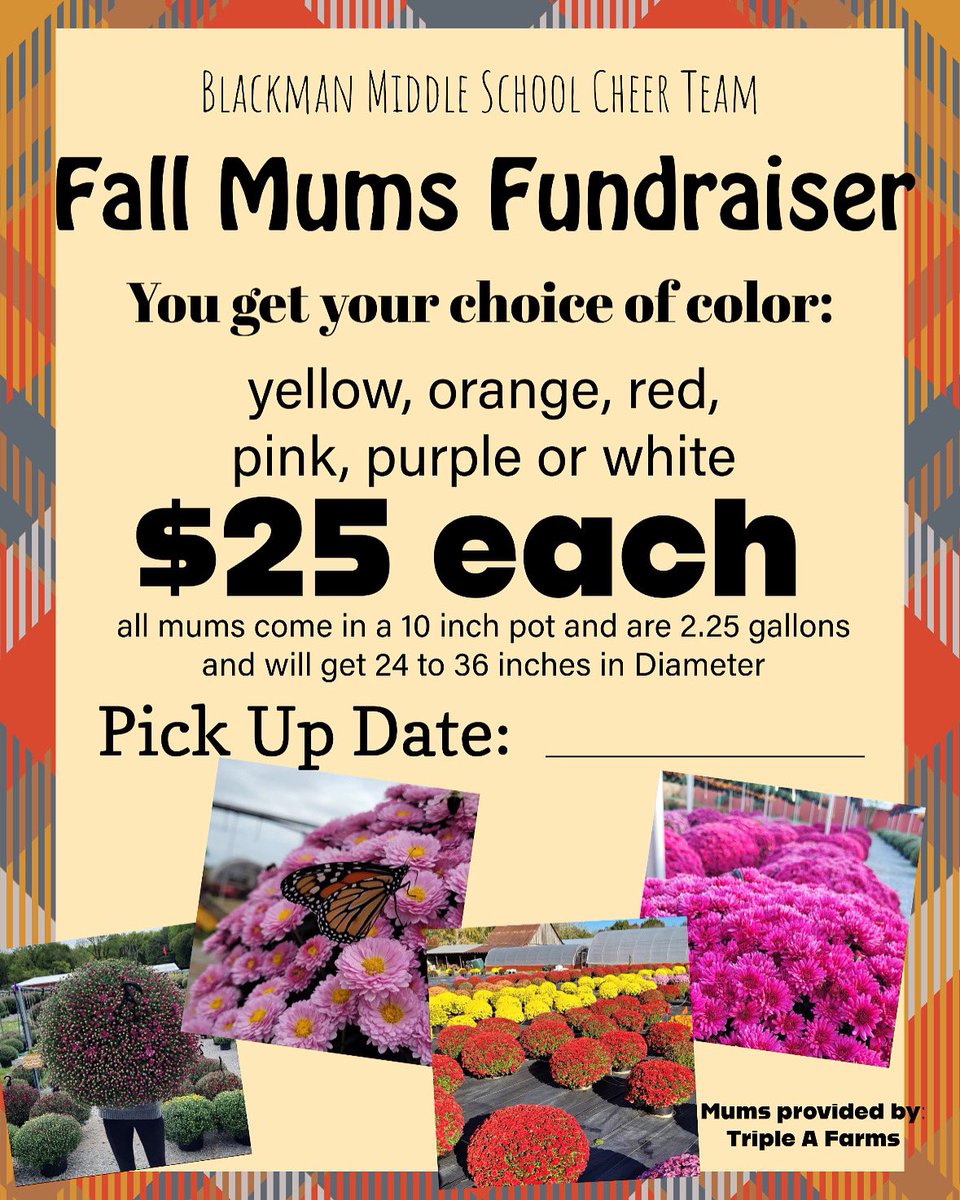 BMSFootballCheer tweet media