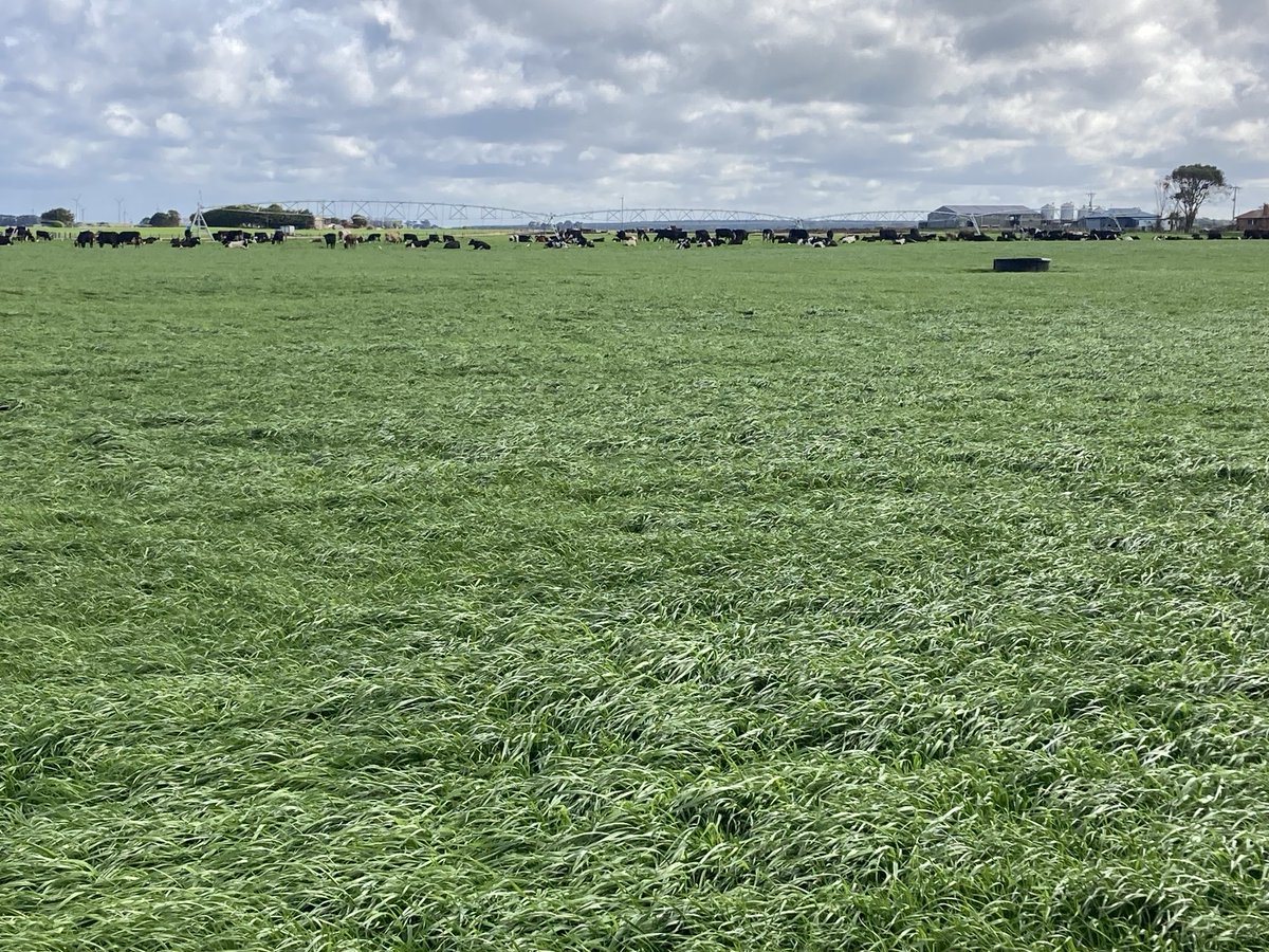 Phil White tweet media