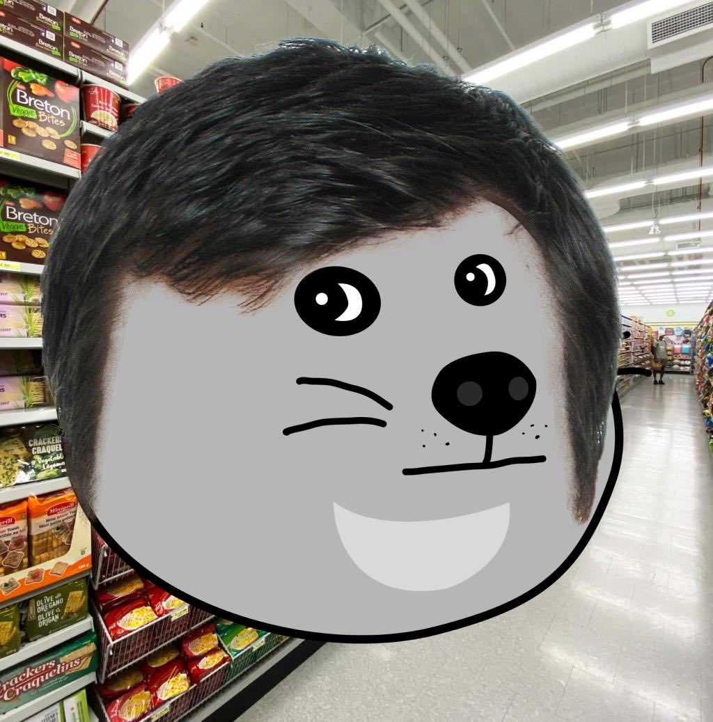 I identify as a non playable doge.

$NPD.