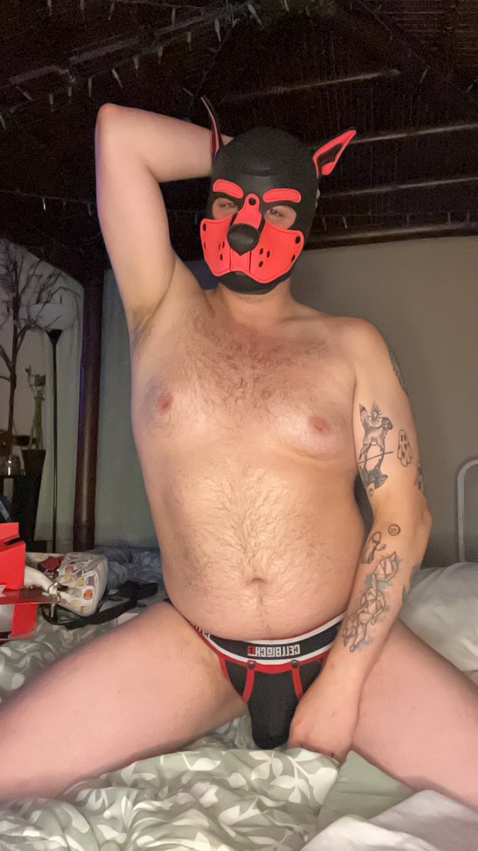 Shadowtheyeen's tweet photo. Ya ready for bed? 😏 😘 #RiskyBehavior #PupLife #BDSM #YoungPup https://t.co/0JSTVDzJfe