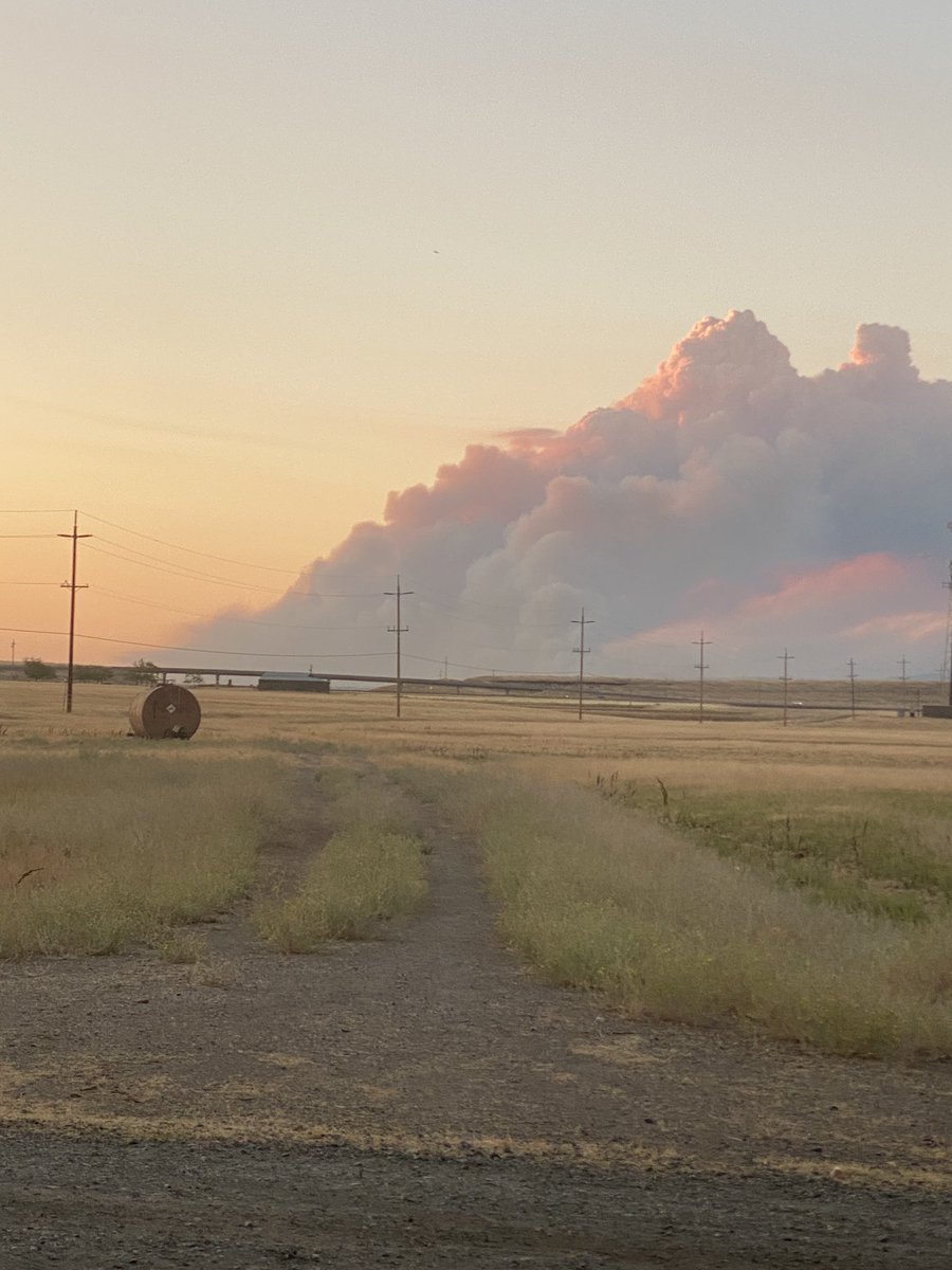 Em Berto tweet media