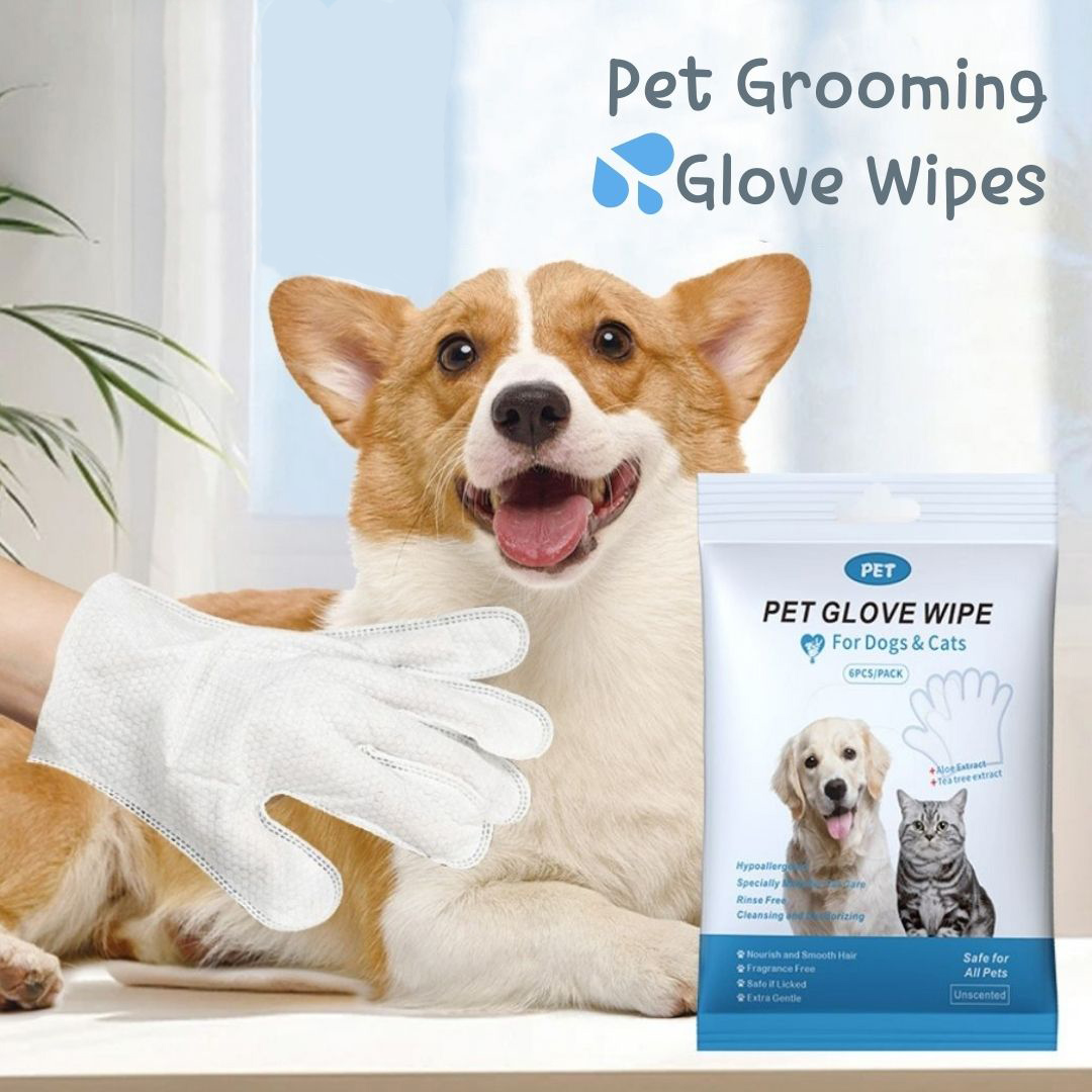 CUREME_PET's tweet photo. 🐱New Arrival🐶
Grooming Glove Wipes for Pet
https://t.co/0GzjEJ1IKG👈👈 Code: FANS12 for directly 12% off.
🎁Each pack contains six gloves！
.
.
#petlover #cats #petcare #summer #petshop #doglife #discount #newarrivals #wet #easytouse #convenient #clearn #clearning https://t.co/iFjGweadN0