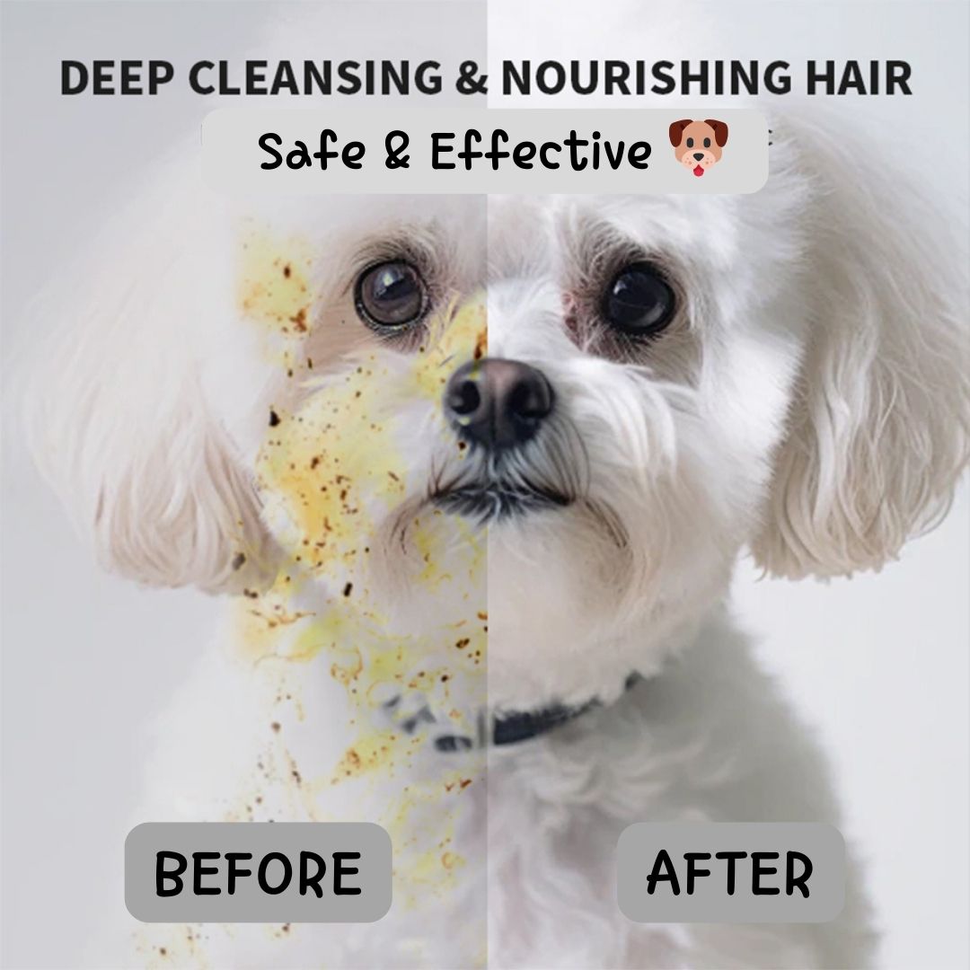 CUREME_PET's tweet photo. 🐱New Arrival🐶
Grooming Glove Wipes for Pet
https://t.co/0GzjEJ1IKG👈👈 Code: FANS12 for directly 12% off.
🎁Each pack contains six gloves！
.
.
#petlover #cats #petcare #summer #petshop #doglife #discount #newarrivals #wet #easytouse #convenient #clearn #clearning https://t.co/iFjGweadN0