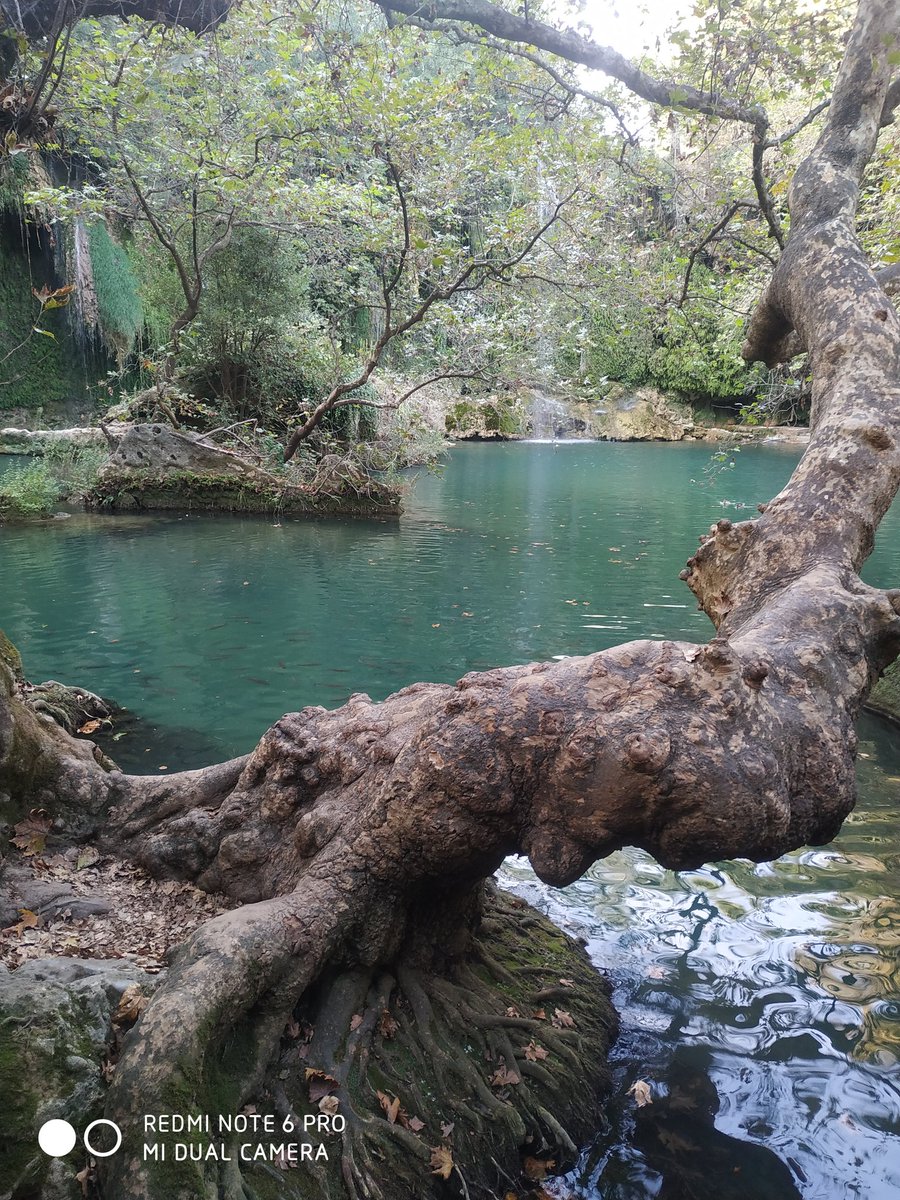 Yüzünü özlersin...
Gözünü özlersin...
Sözünü özlersin...
Öyleki
Kızmasını dahi özlersin.
#HayirliSabahlar