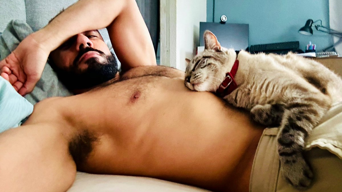 jesustarrega's tweet photo. 🐈 😴 https://t.co/UthmsDRGrd