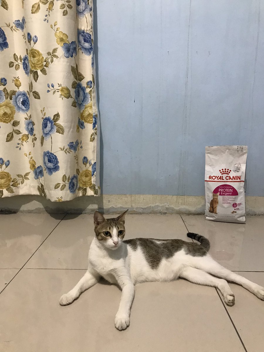 Hanggiciii's tweet photo. @hoshihoshi_cat hampir samaan dekilnya:( https://t.co/u9avJt5l1O