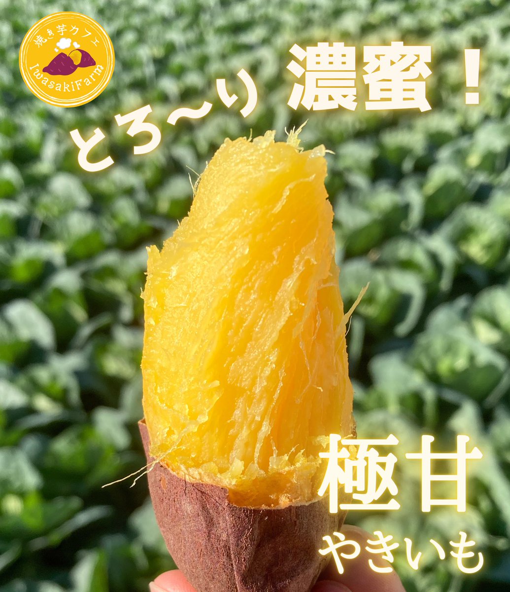 iwasakifarm's tweet photo. 焼き芋プレゼント企画🎁

とろ～り濃密極甘やきいも3Kgを
2名様にプレゼント致します

◎応募方法
1️⃣ @iwasakifarm をフォロー
2️⃣この投稿をリポスト

◎7/28(日) 23:59締切 https://t.co/NHnoGHYlRm