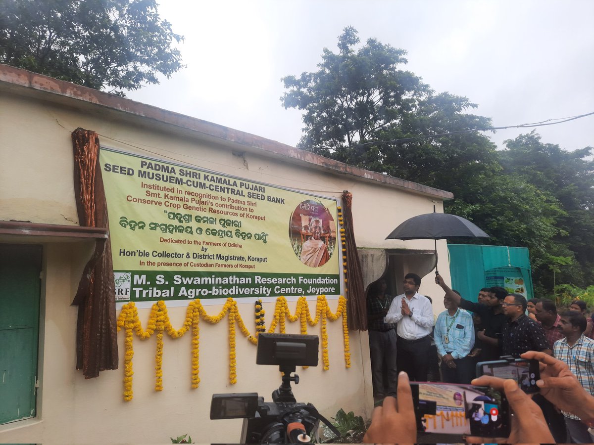 tabc_mssrf's tweet photo. .@mssrf pays heartfelt tribute &amp; homage to Padma Shri late Smt. Kamala Pujari for her contributions to conserving paddy landraces &amp; promoting organic farming with MSSRF. A seed museum &amp; central seed bank at MSSRF Jeypore campus was dedicated in her name, unveiled by @dmkoraput https://t.co/GLM5t9fZUJ