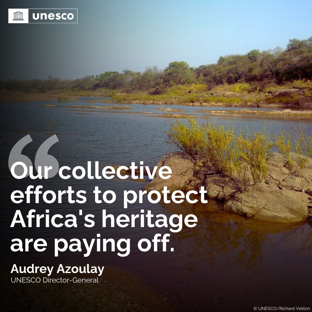 UNESCO 🏛️ #Education #Sciences #Culture 🇺🇳 tweet media