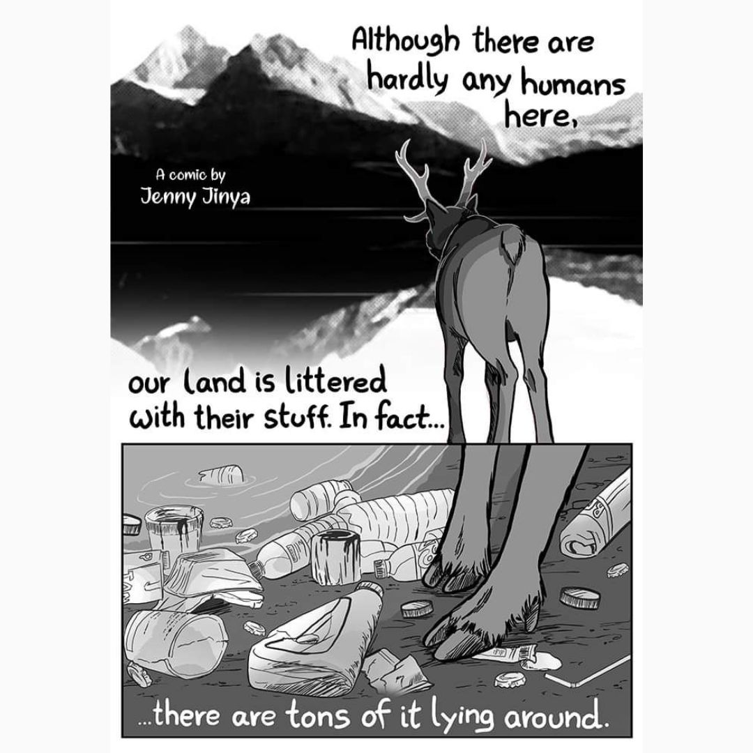 Mackay Conservation tweet media