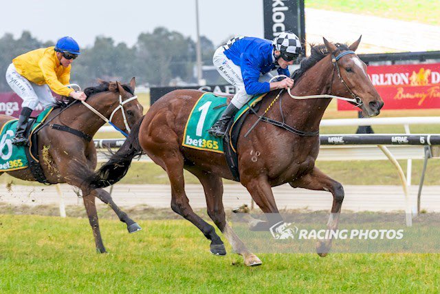 Thoroughbred Solutions Pty Ltd tweet media