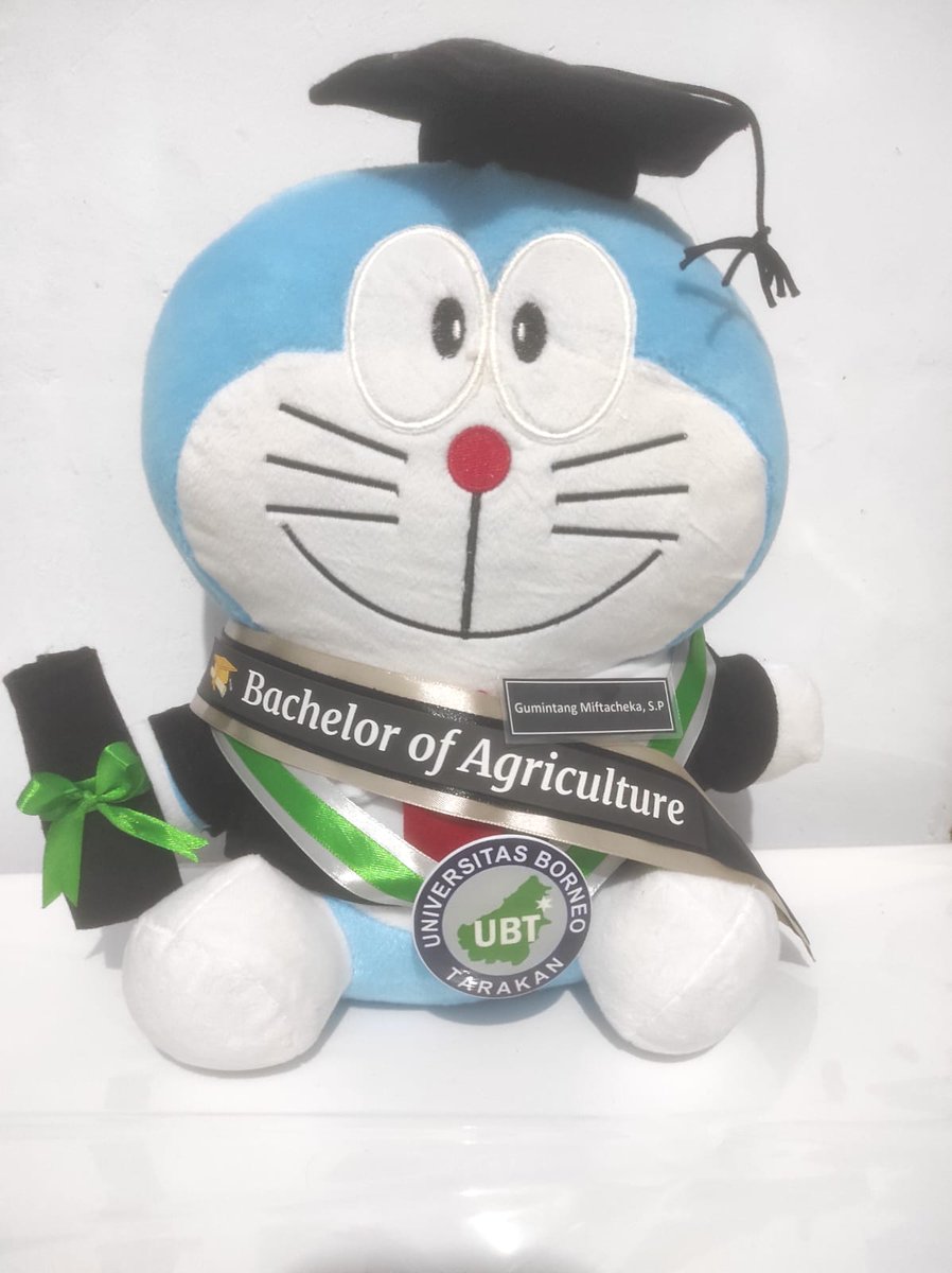 OurstuffID's tweet image. Berprasangka Baik lah maka akan mendapatkan hal baik.,

edisi #bonekawisuda #bonekaberuang #bonekalucu #produkoriginal #hadiahspesial #bonekadoraemon