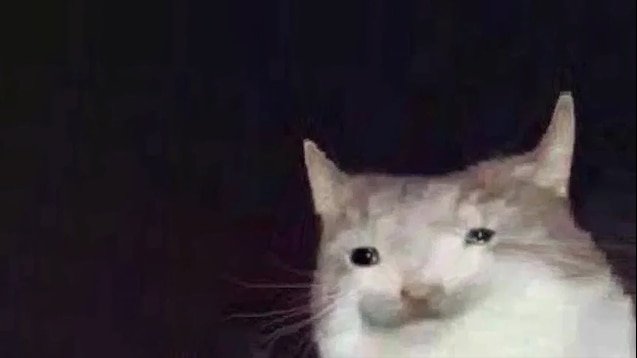 C0FFEEMAGE's tweet image. 