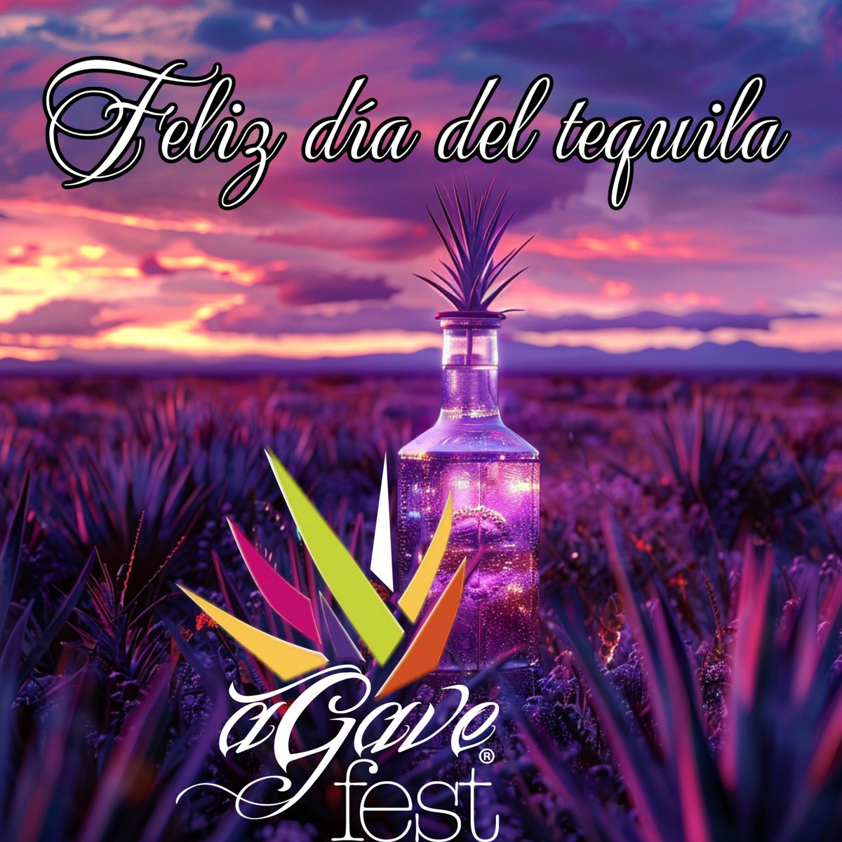 AgaveFest tweet picture