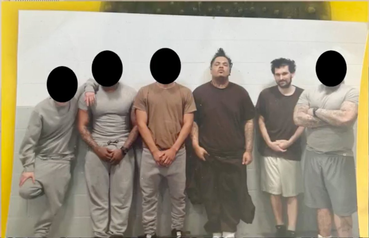 FROGGIES NFT tweet media