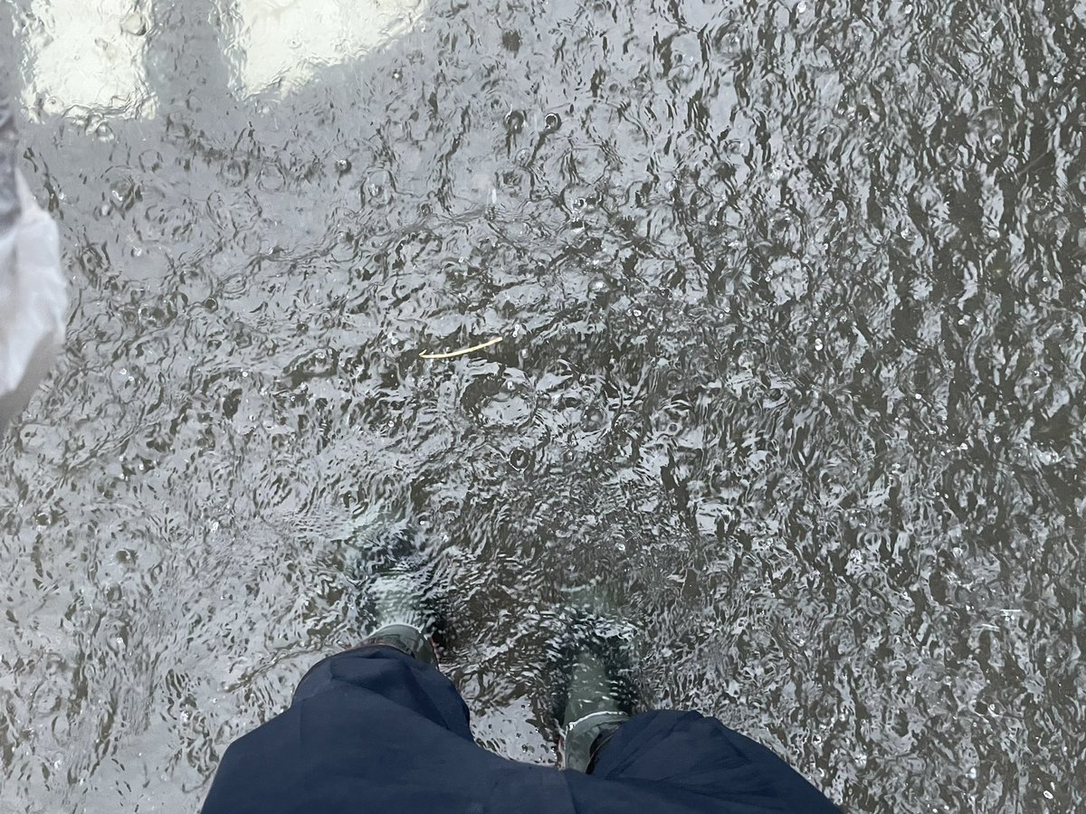 こんな雨は初めてだ☔️