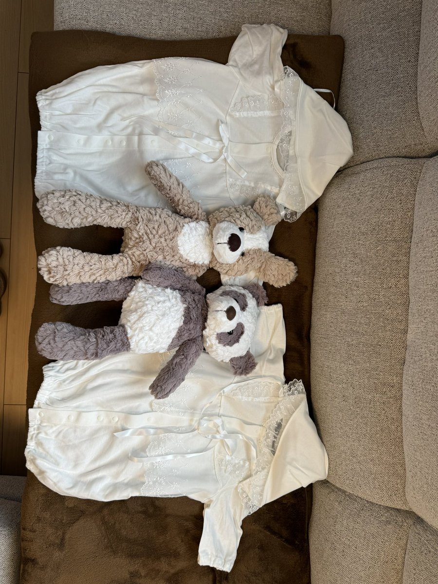 こむぎちゃん/小麦アレルギー/双子 (@kmg__in) / Posts / X