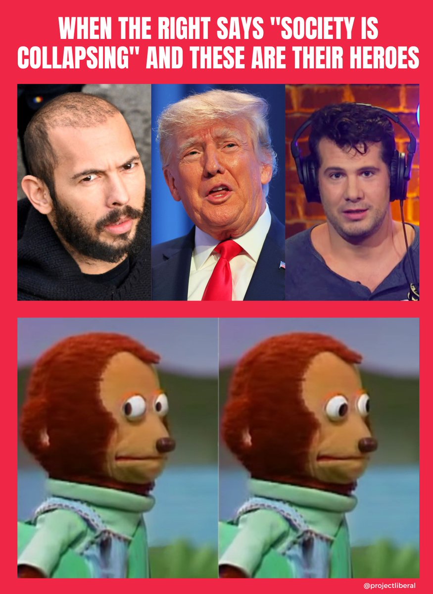 Project Liberal tweet media