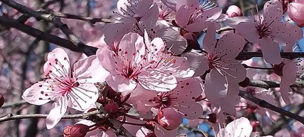 اللهُم أفتح بيني وبين رزقي ونصيبي ، وسعادتي وتوفيقي ، وأنت خير الفاتحين .