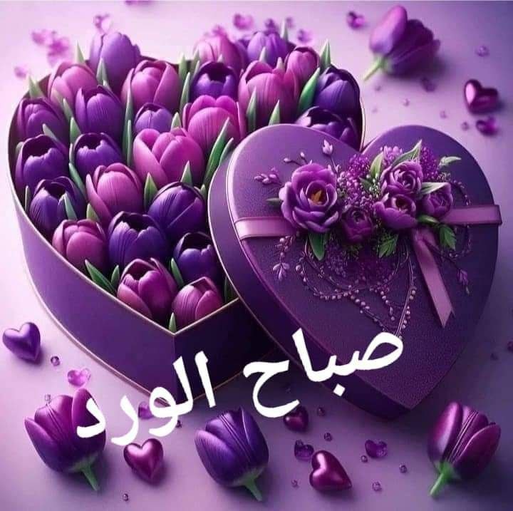 يسعد صباح الجميع

حد صاحي<a href="/4_0kw/">F</a>