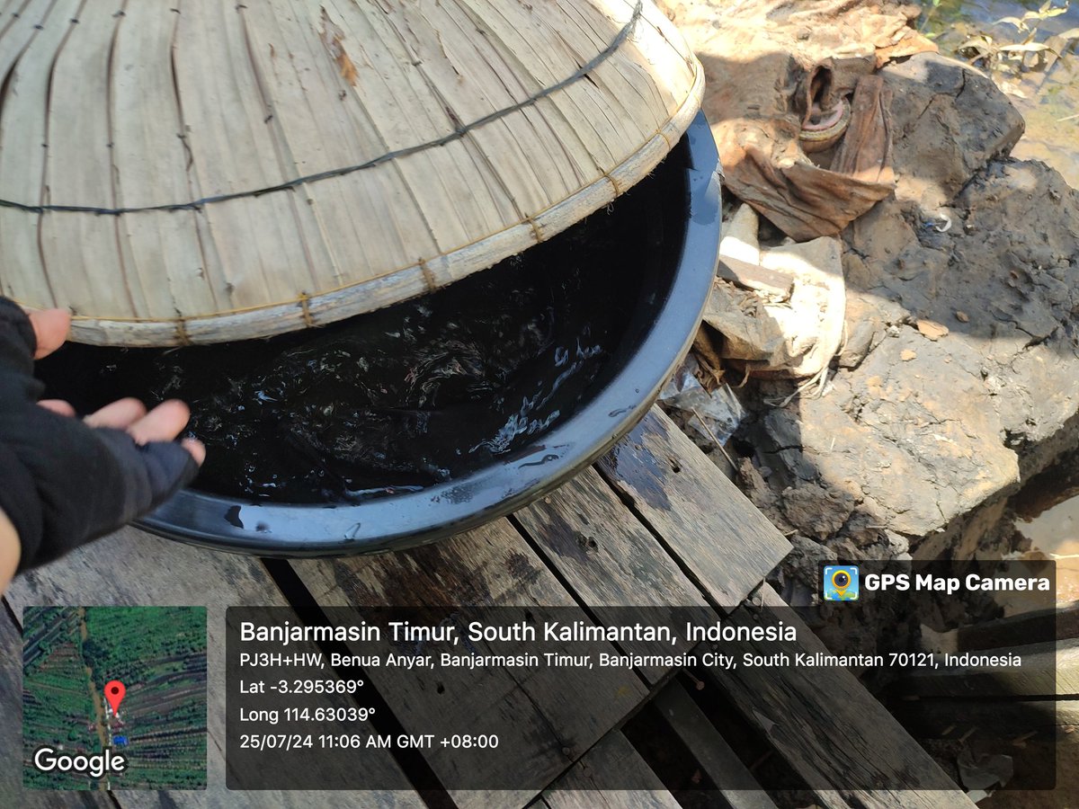 EKOPPB2016's tweet photo. Kamis (25/7),Nur Hidayat, Luhkan Kota Banjarmasin, di KUB Berkat Ibu Bersama(pak ahmad supiadi) ,  Ikan patin sungai, Total  50 kg, Harga Rp. 25.000/kg #GiatLuhkanSatminkalBWI #KtBjrmasin #Panen #Luhlapor https://t.co/QLFCcXoJZq