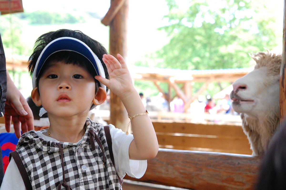 officialTheWind's tweet photo. [🎂] HAPPY DAY

2024.07.25
𝐇𝐀𝐏𝐏𝐘 𝐇𝐀𝐍𝐁𝐈𝐍 𝐃𝐀𝐘🎉

시크도도고냥이😎
한빈이의 생일을 축하합니다💜

#더윈드 #THEWIND #The_Wind 
#최한빈 #CHOIHANBIN
#HAPPY_HANBIN_DAY https://t.co/l7H8JFmavZ
