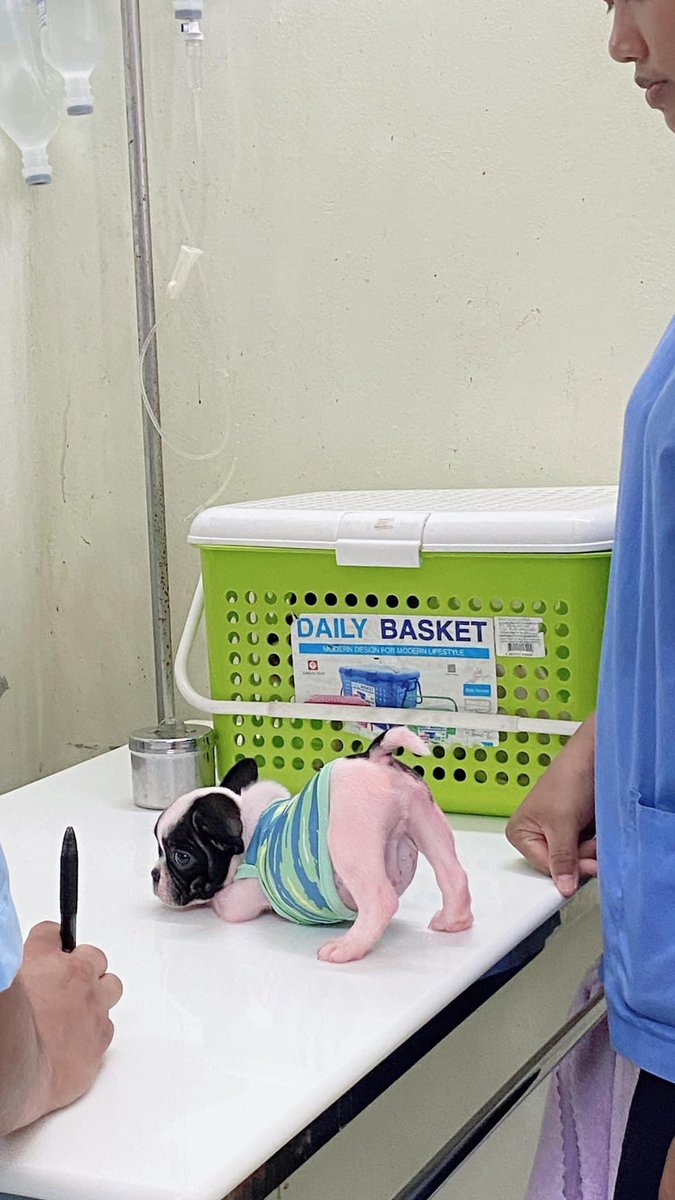 ` 마 크 잭 슨 . tweet media