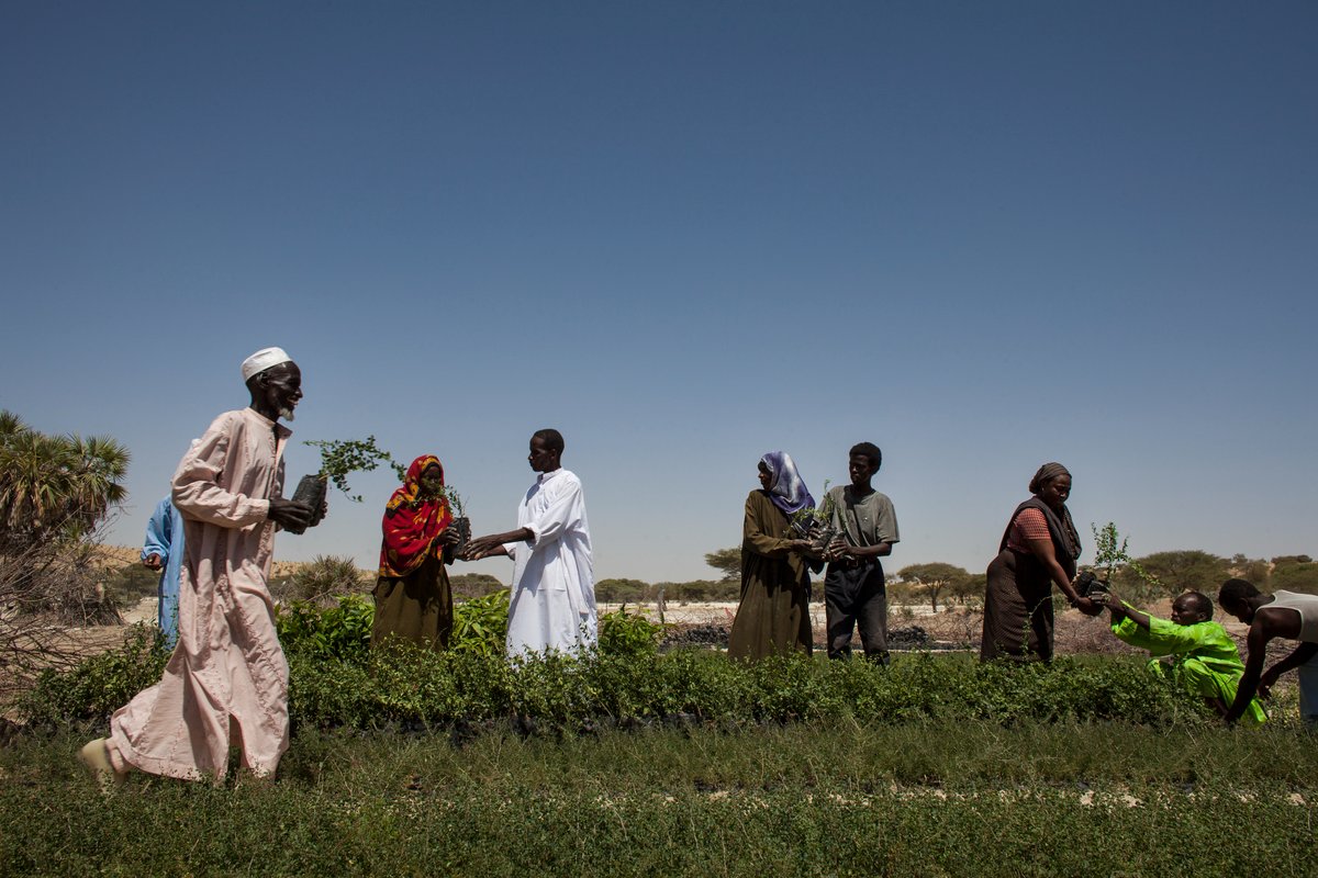 The #AMCEN 10th Special Session aims to renew #Africa ‘s commitment and raise the ambition of member states, partners, and stakeholders to withstand the effects of drought, land degradation and desertification.