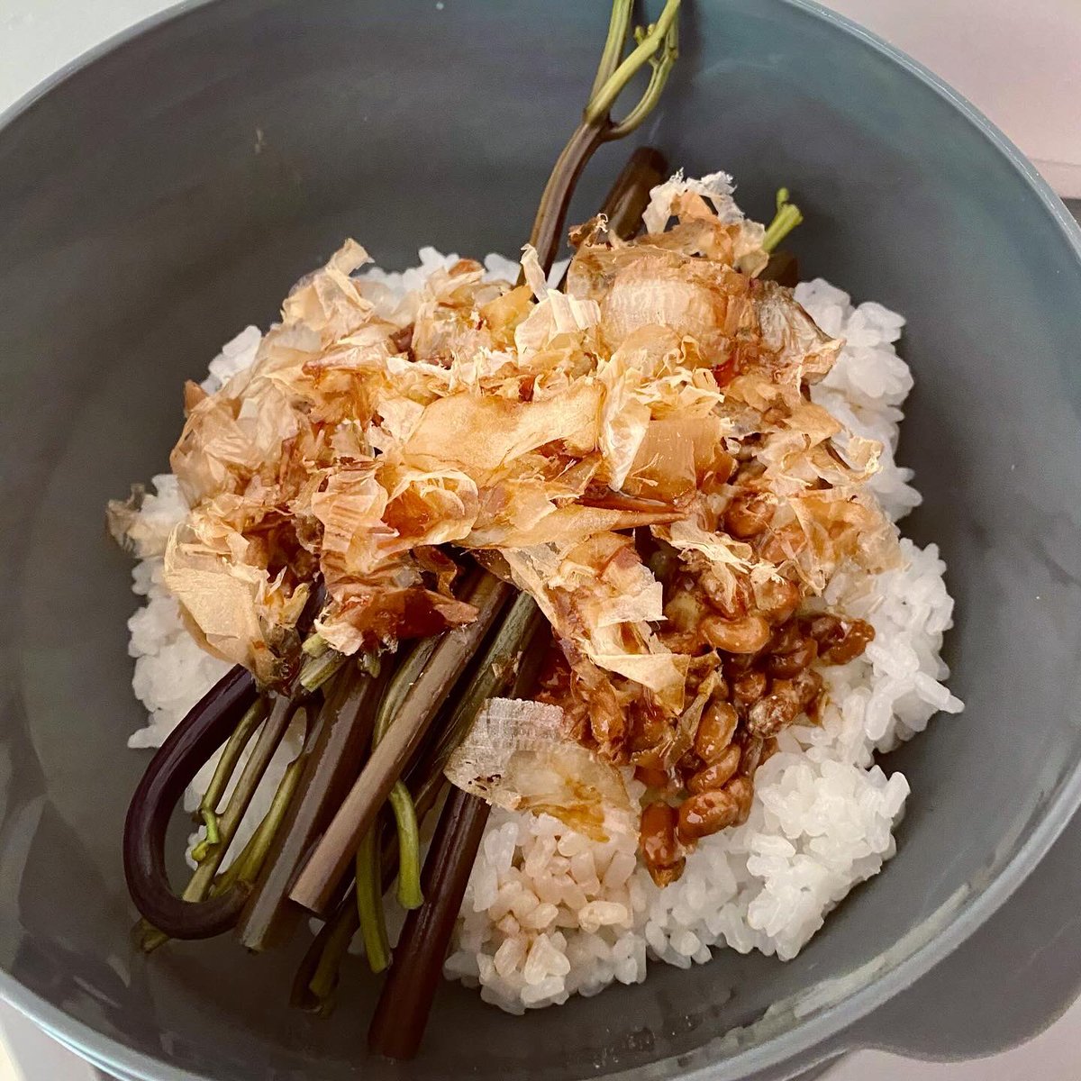 alice2501's tweet photo. 鹿肉や山菜といった山の恵みをいただいて生きています。ワラビは重曹でアク抜きしてから白だしに一晩浸すだけで無限に食べられます😋 https://t.co/hFRWWExYkF