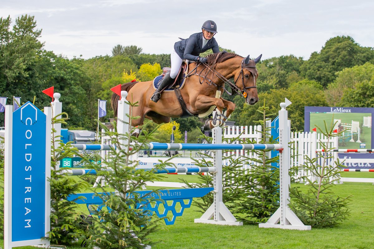 British Showjumping tweet media