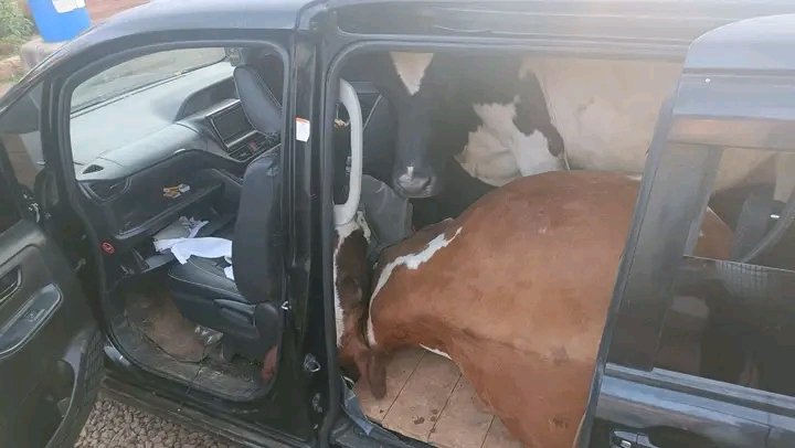 Nipee gari nitaweka mafuta 😂