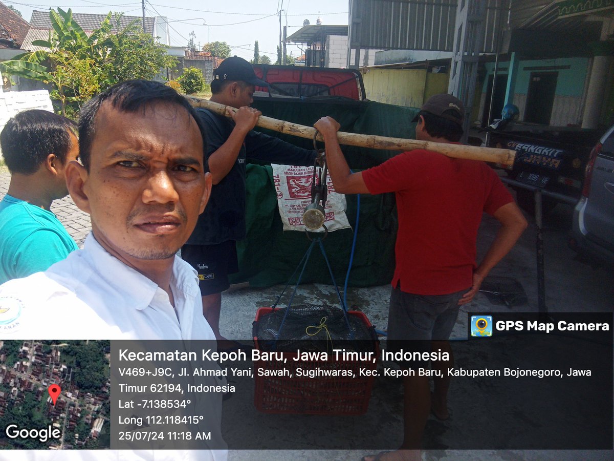 caturagungprab3's tweet photo. Kamis (25-07-2024) Catur A P, Luhkan Bojonegoro, mendampingi #panen Lele di Suyitno (Mina Amanah) Sugihwaras, sebanyak 261kg, kolam beton size 12-6 ek/kg, harga Rp. 19.000/kg
#GiatLuhkanSatminkalBWI
#Bnegoro 
@puslatluhkp
@bppp_banyuwangi
@brsdm_kp https://t.co/WjQCsw4sSg